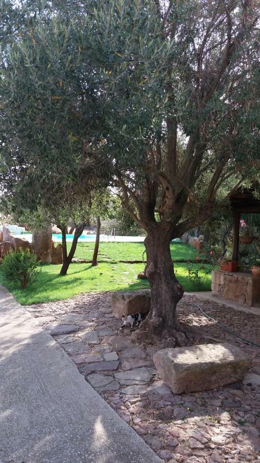 Agriturismo Sa E Padedda Mores Ngoại thất bức ảnh