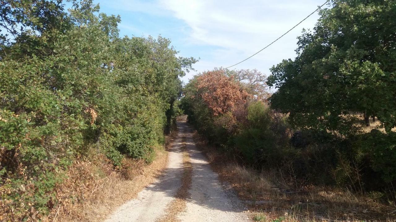 Agriturismo Sa E Padedda Mores Ngoại thất bức ảnh