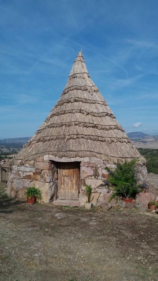Agriturismo Sa E Padedda Mores Ngoại thất bức ảnh