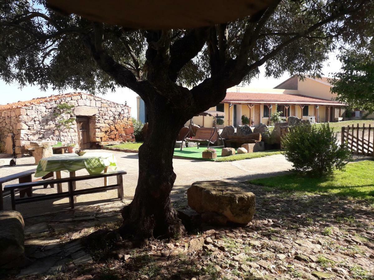 Agriturismo Sa E Padedda Mores Ngoại thất bức ảnh
